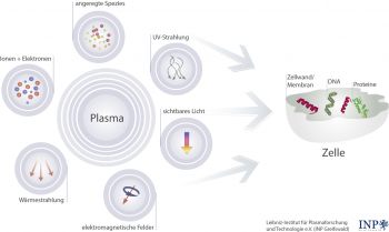 Abb. 1: Potentiell antimikrobiell wirkende Plasmakomponenten
